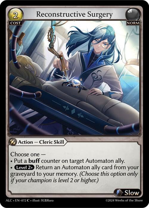 Reconstructive Surgery [C] - Alchemical Revolution