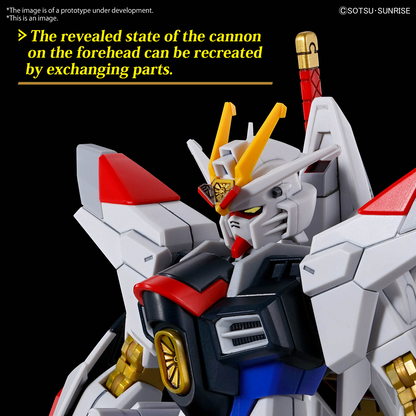 HGCE 1/144 [250] Mighty Strike Freedom Gundam