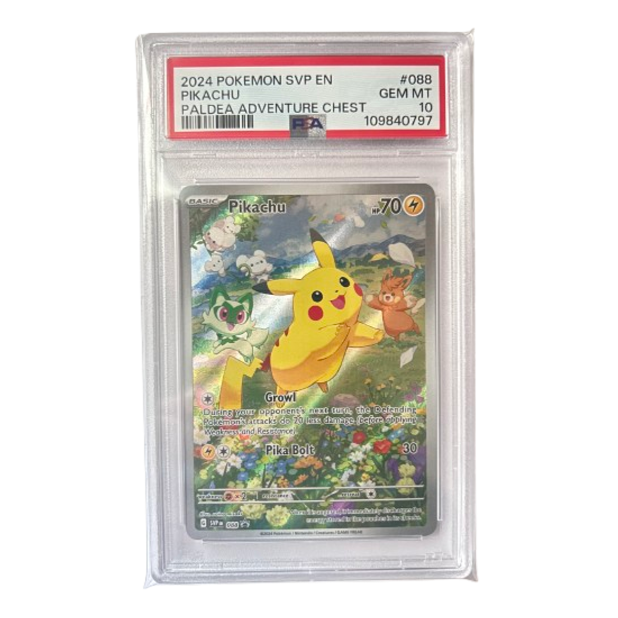 Angry Maple 英語 PSA8 Graded Cards – Hanabi Trading Collectibles