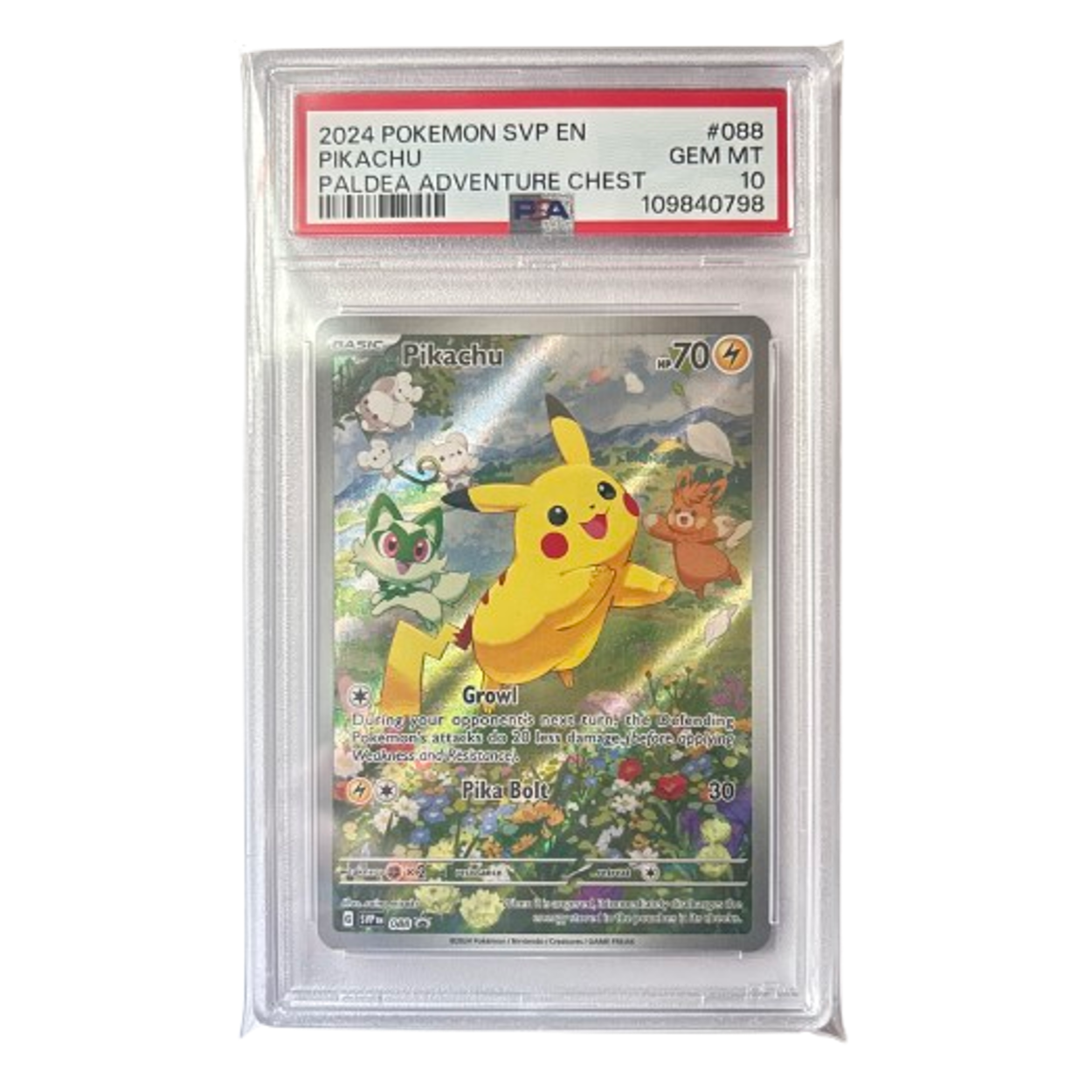 Pikachu SVP 88 PSA 10 [109840798]